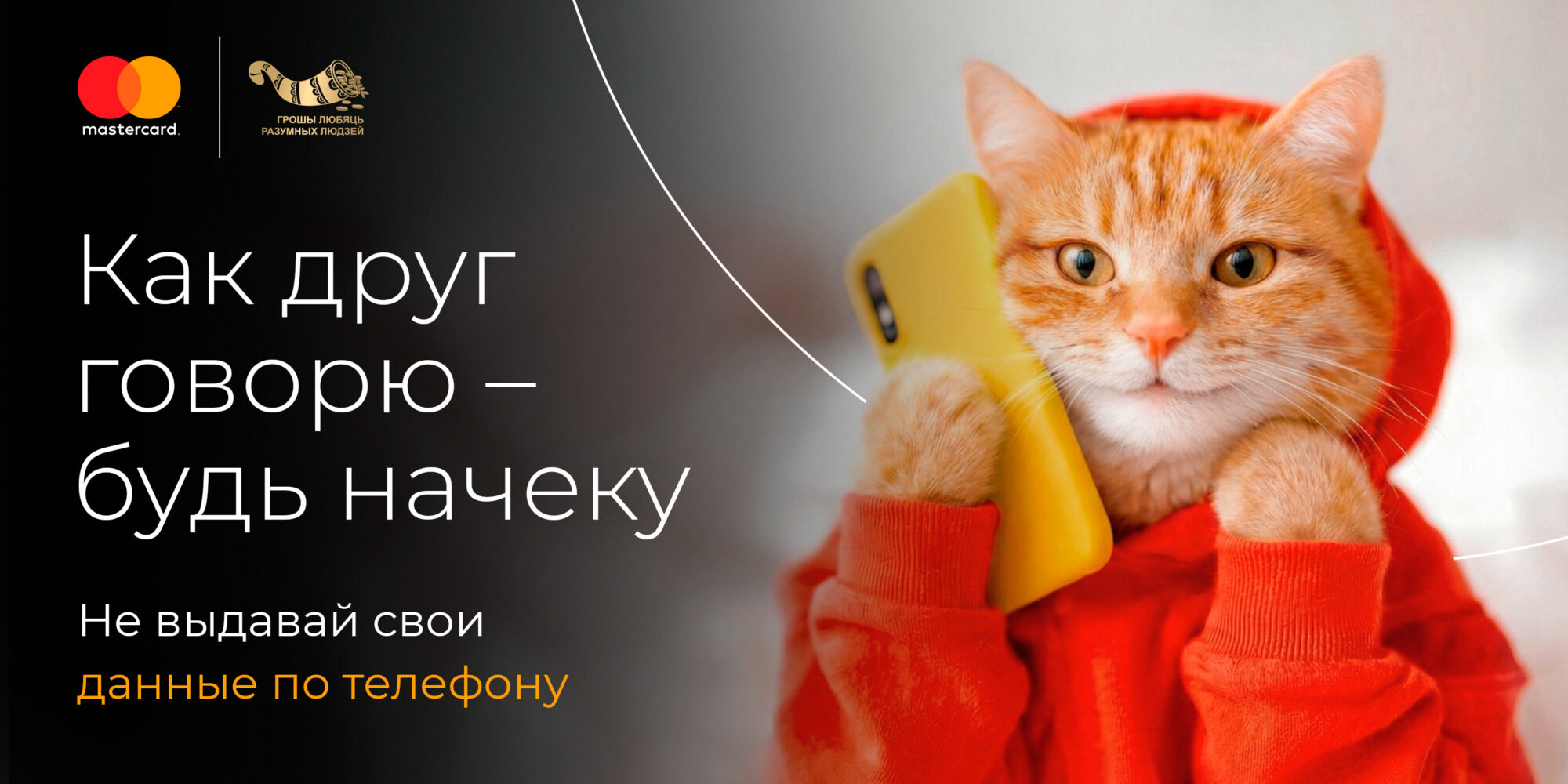 Билборд Кот горизонтальный